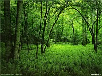 [Нажмите для просмотра]