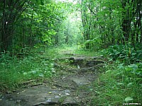 [Нажмите для просмотра]